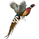 Wings North
